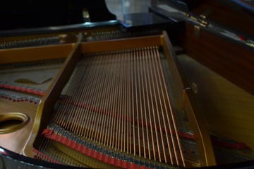 DSC_0057.JPG