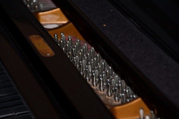 DSC_0063.JPG