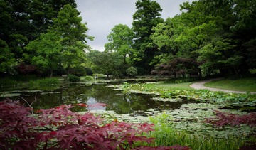 Botanical_Garden_06_7.jpg