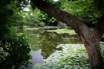 Botanical_Garden_06_9.jpg