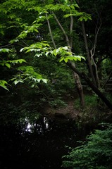 Botanical_Garden_06_71.jpg