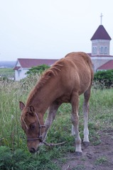 IMGP5750-3.jpg