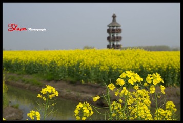 IMGP7799_