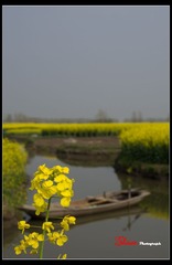 IMGP7817_