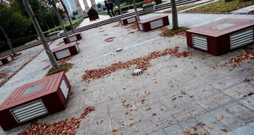 小广场.jpg