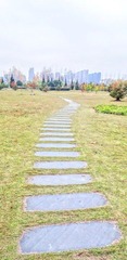 小路.jpg