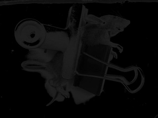 20120930_145610.jpg