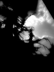 20120930_150002.jpg