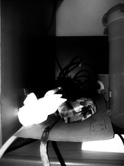 20120930_163551.jpg