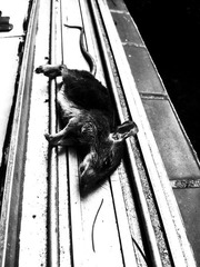 20120930_181114.jpg