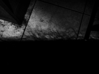 20121003_233347.jpg