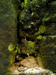 20121004_144549.jpg