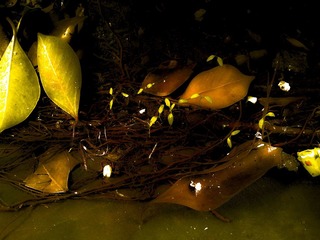 20121004_144756.jpg