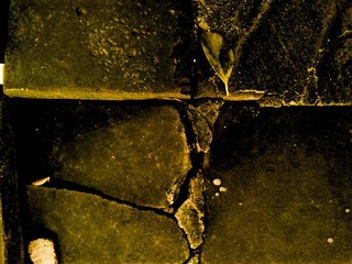 20121004_144804.jpg