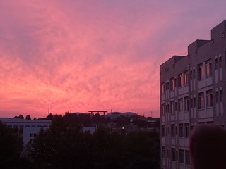 901