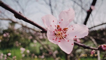 58F2123F-1833-4A77-93FD-37D39382A7C8/L0/001