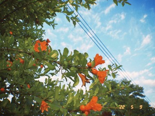 A3B3D380-C856-41F9-AE99-E95BEDB0F42B/L0/001