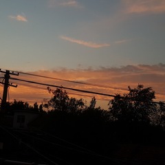 749963