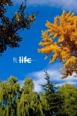 秋LIFE.jpg
