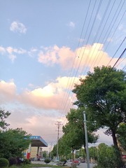 282677