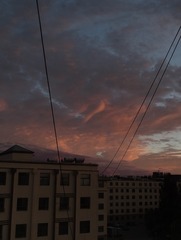 1000002099