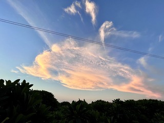 23EFC851-144D-4557-8F62-2191EB5C9E1A/L0/001