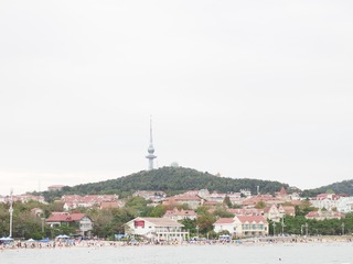 291014