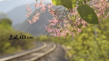 264507