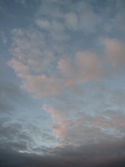 16073