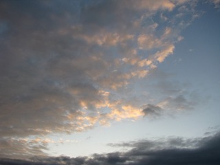 16078
