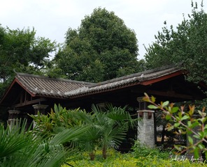 9D4112CB-66A5-4A12-997B-007D1694483E/L0/001