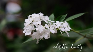 275FB83B-EE15-40C8-BF12-F2460F918ECF/L0/001