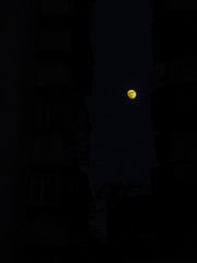 91B0D1FE-858D-480A-9F69-985F38F1E51B/L0/001