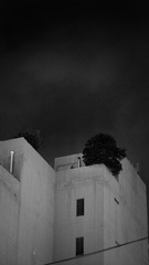 183052