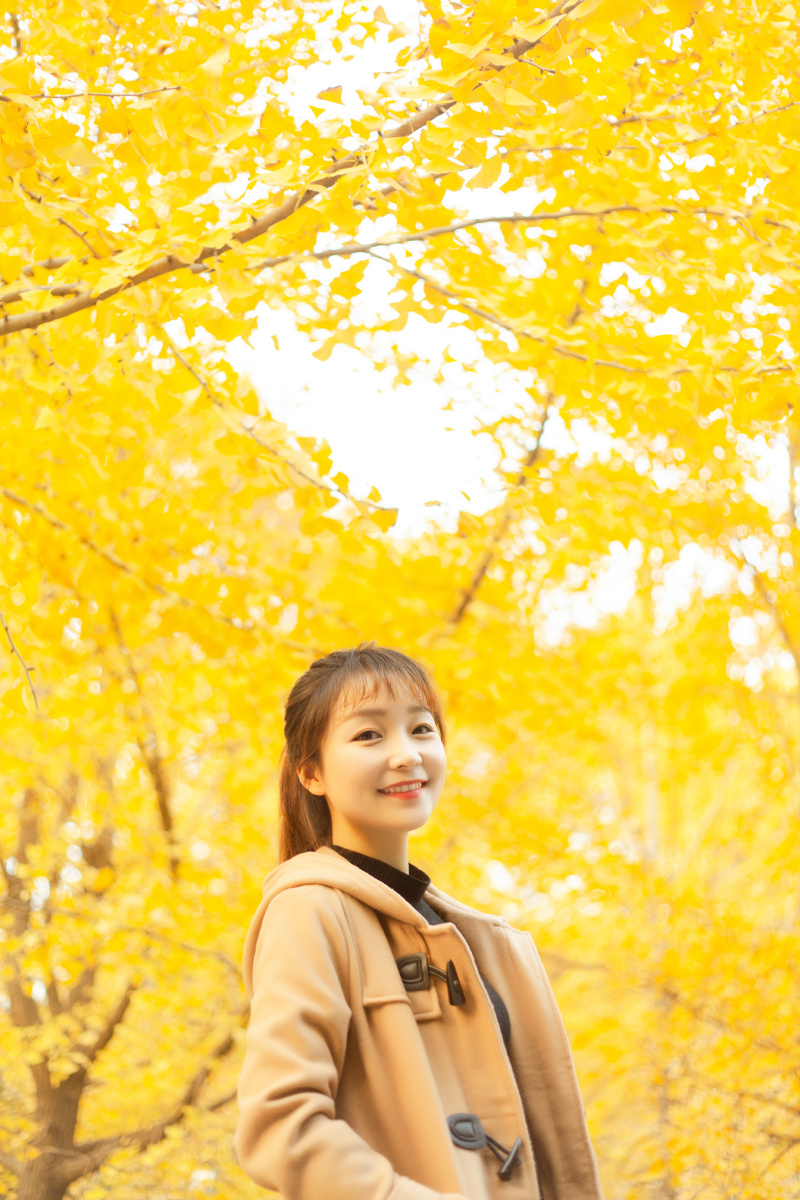 秋天的银杏林太美了金黄的颜色暖暖的银杏写真日系写真秋季拍照武汉
