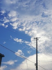 1817067