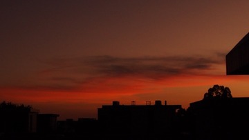 D2D3C464-59D8-4B02-95C4-C9217014311B/L0/001