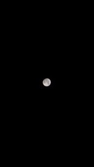 24CECC69-FA29-48BD-965D-C328A1E25DEA/L0/001