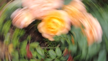 E0B85F77-7DEC-462B-A61D-B2DD84385E22/L0/001
