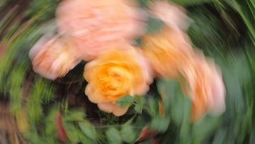 18486614-32B1-41DF-A507-4098D5D387DC/L0/001
