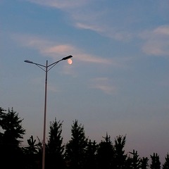 2617919