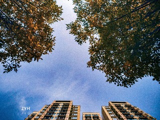 2007300