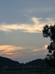 8D8683FE-BEC4-4018-B38A-1AAD40E05030/L0/001