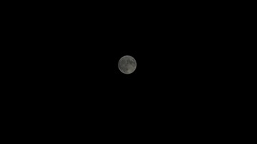 27C32048-4ABF-4AB1-857E-68201676769F/L0/001