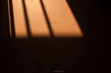 DSC_6949.JPG
