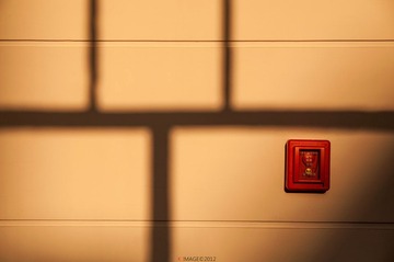 DSC_6971.JPG