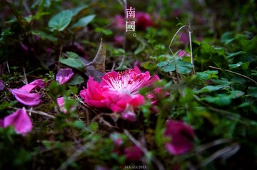 DSC_8615.jpg