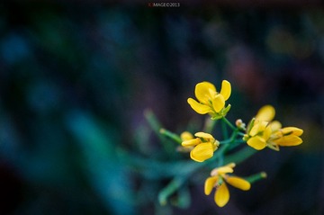 DSC_9081.jpg