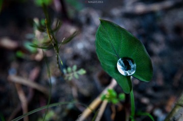 DSC_9118.jpg