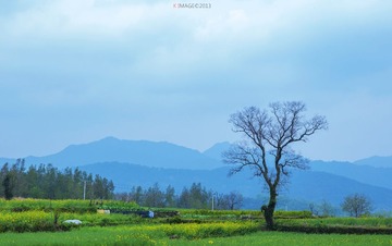 DSC_9226.jpg